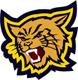Wildcats
